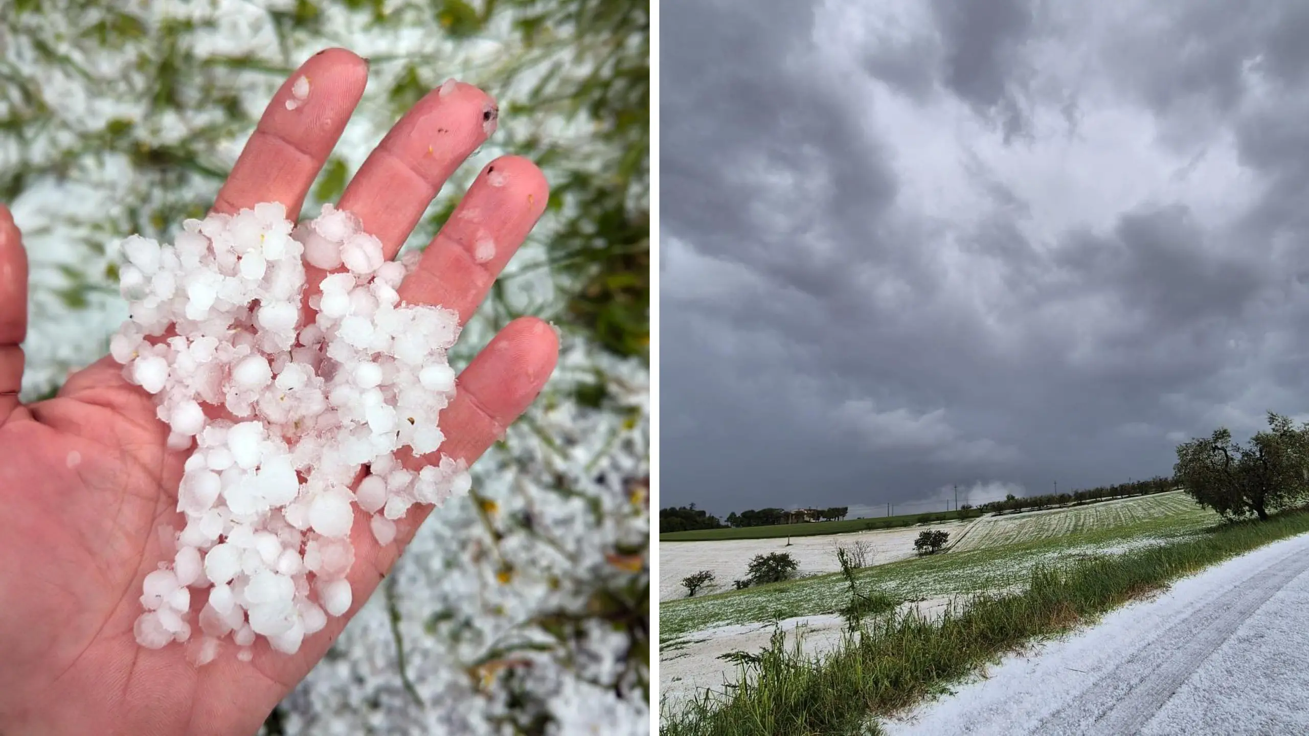 Previsioni Metereologiche sulla Grandine: Cosa Ci Aspettiamo