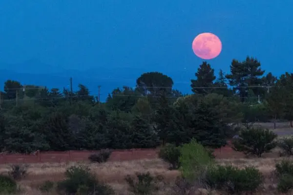 La Luna delle Fragole: Un Evento da Non Perdere