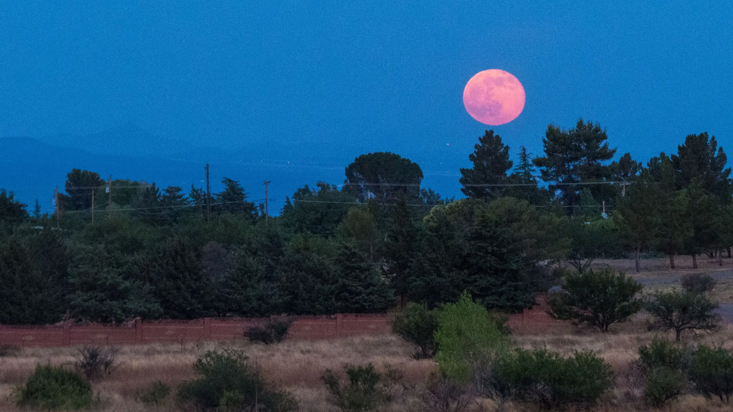 La Luna delle Fragole: Un Evento da Non Perdere