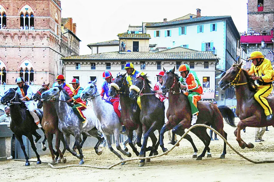Il Palio di Siena: Storia e Rilevanza Culturale