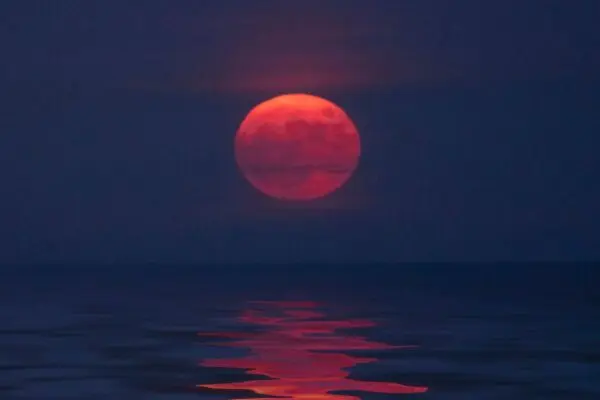 Luna di Fragola: Un Fenomeno Astronomico Straordinario