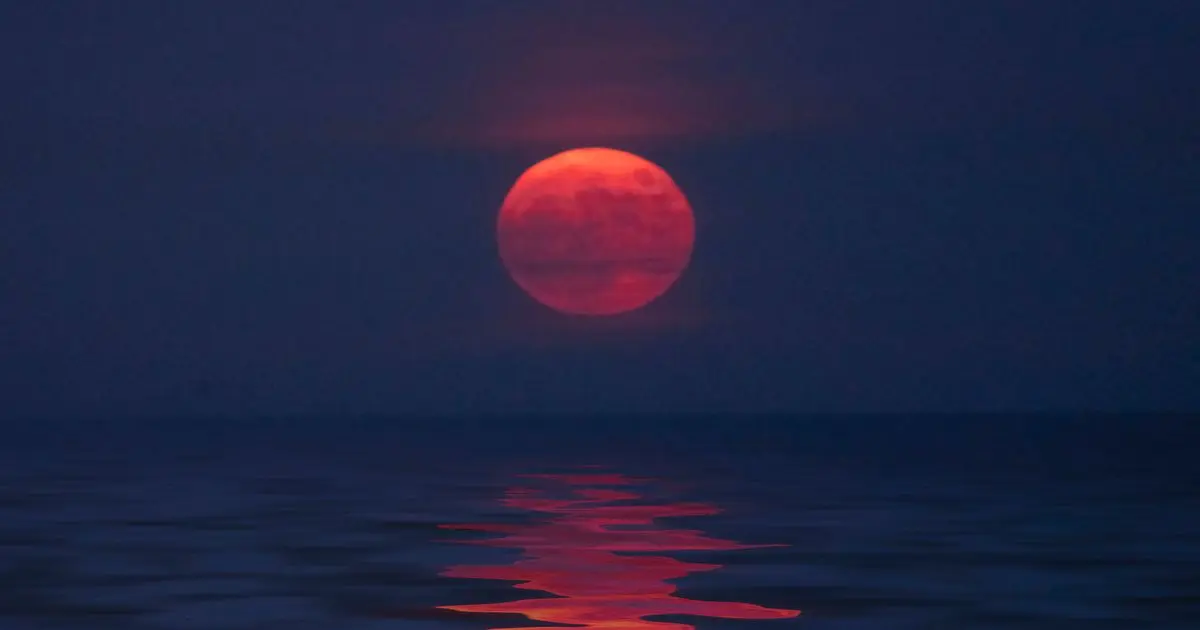 Luna di Fragola: Un Fenomeno Astronomico Straordinario