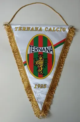 Ternana Calcio: Novità e Sfide della Stagione 2023-2024