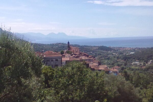 Scopri Vibonati: Un Gioiello del Cilento