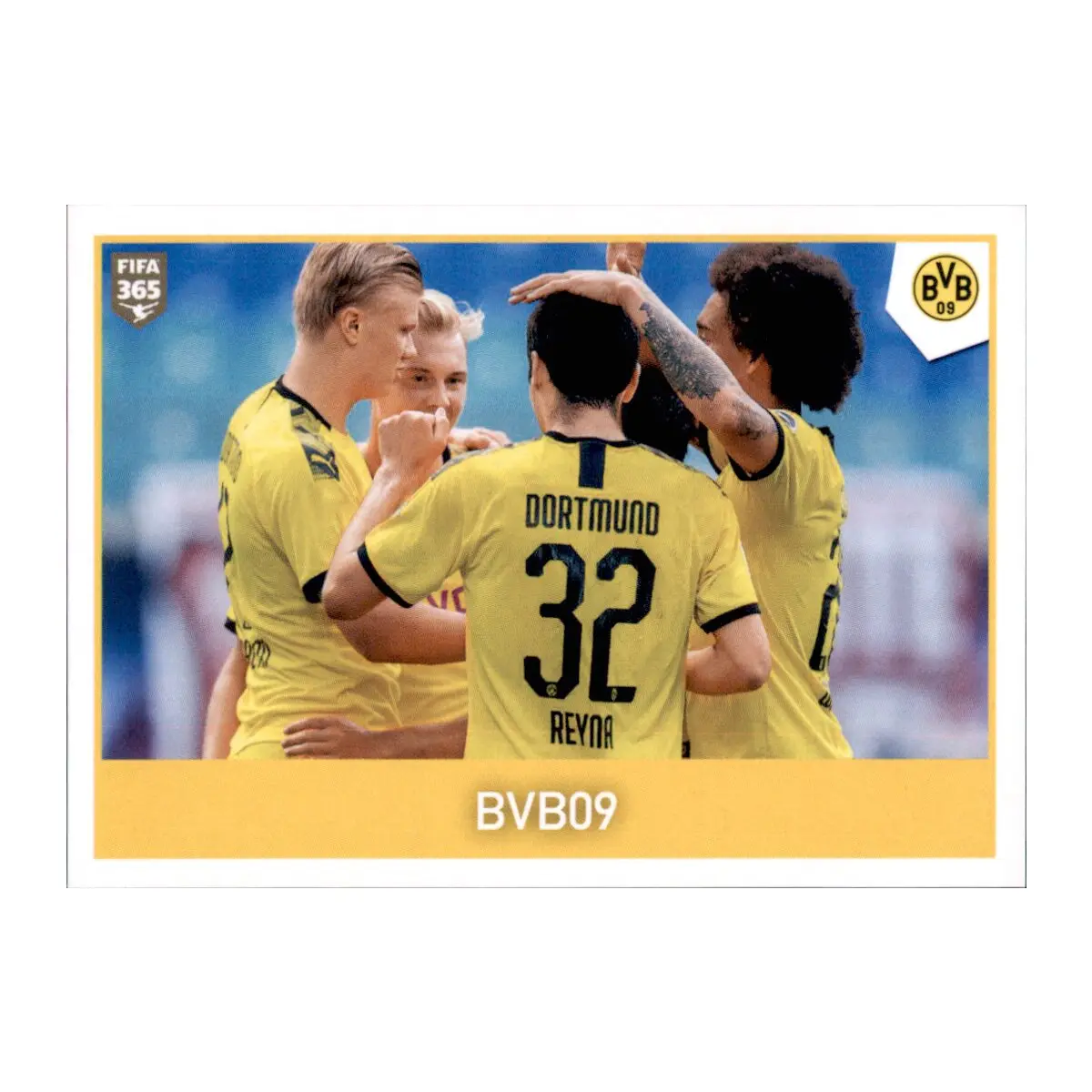 Aggiornamenti Recenti e Prospettive di BVB