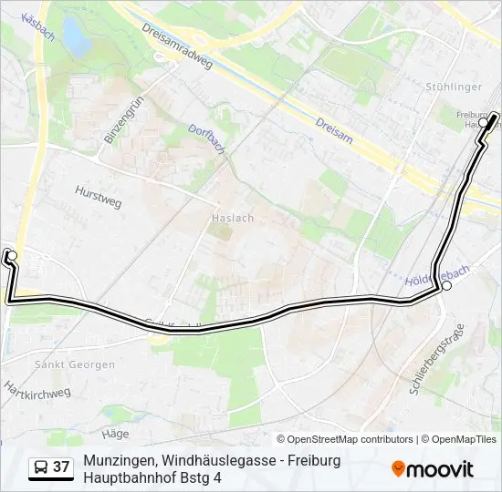 Friburgo: la città verde della Germania
