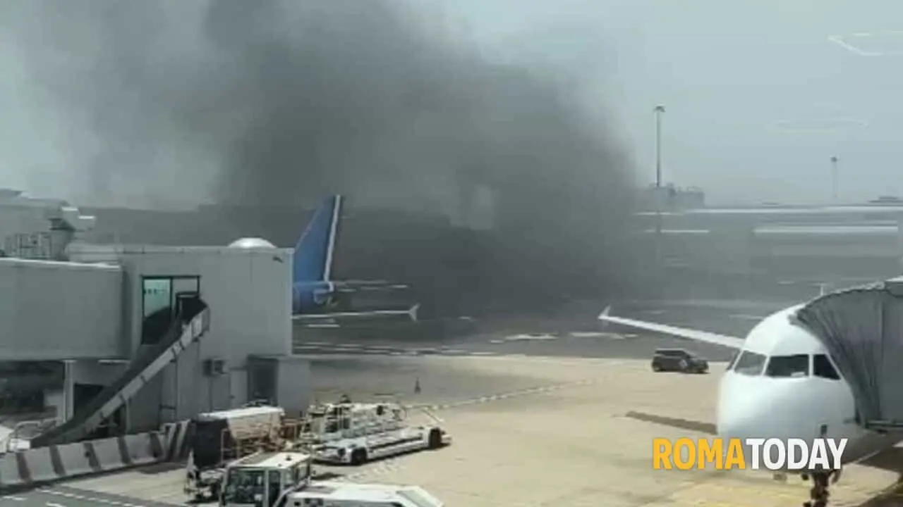 Incendio a Fiumicino: Tutto Quello che Devi Sapere