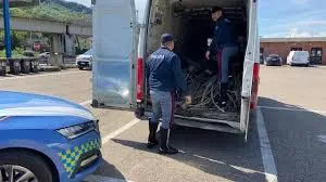 Rubano: Un’Analisi dell’Aumento dei Furti nella Comunità