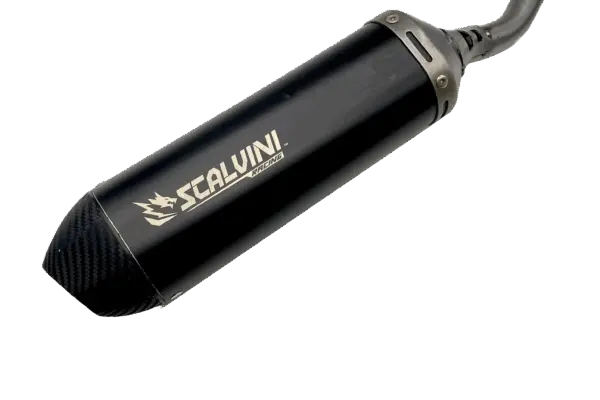 Scalvini: Innovazioni e Ricerca nella Medicina Sportiva