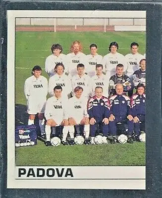 Calcio Padova: Ritorno alla Calcio Professionista e Futuro
