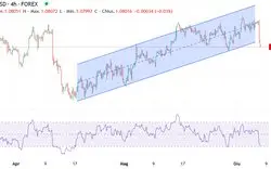 Cambio Euro Dollaro: Importanza e Andamento Recenti