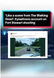 Fort Stewart: La Base Militare Strategica della Georgia