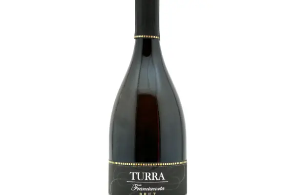 Franciacorta: Tradizione e Innovazione nel Mondo del Vino