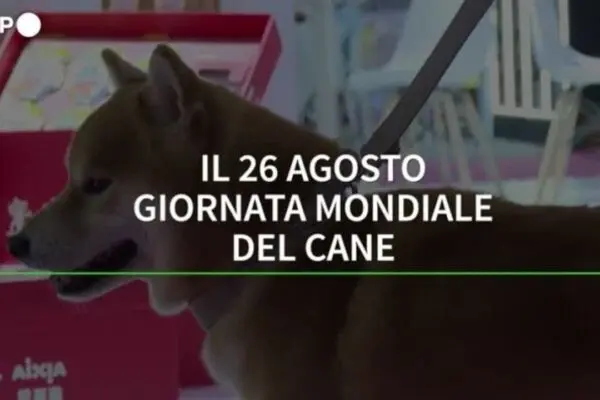 Giornata Mondiale del Cane: Importanza e Celebrazioni