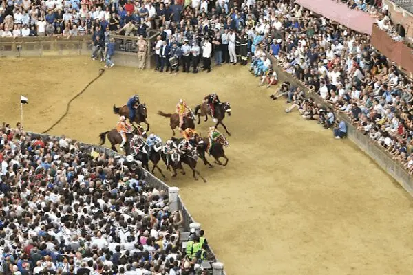 Il Palio di Siena: Tradizione e Passione nel 2023