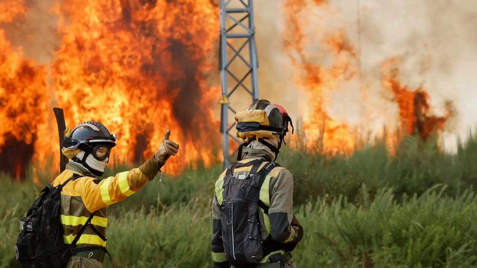 Incendi in Spagna: Un’Emergenza Ambientale Rilevante
