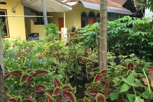 L’importanza dell’Indonesia nel Mondo Moderno