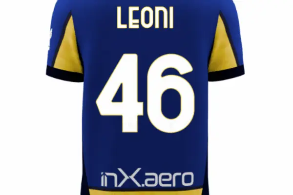 La vita e la conservazione dei leoni nel 2023 image 1