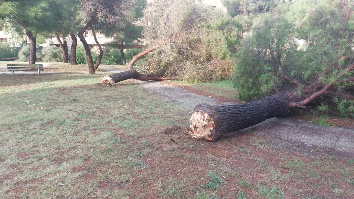 Maltempo in Toscana: Ultimi Sviluppi e Impatti