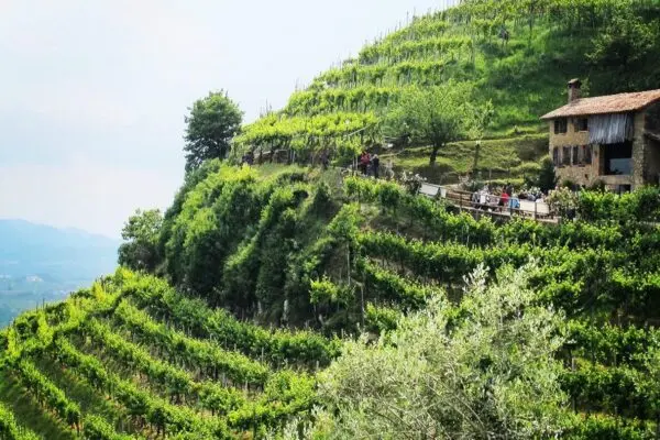 La Magia dell’Osteria Senz’Oste in Italia