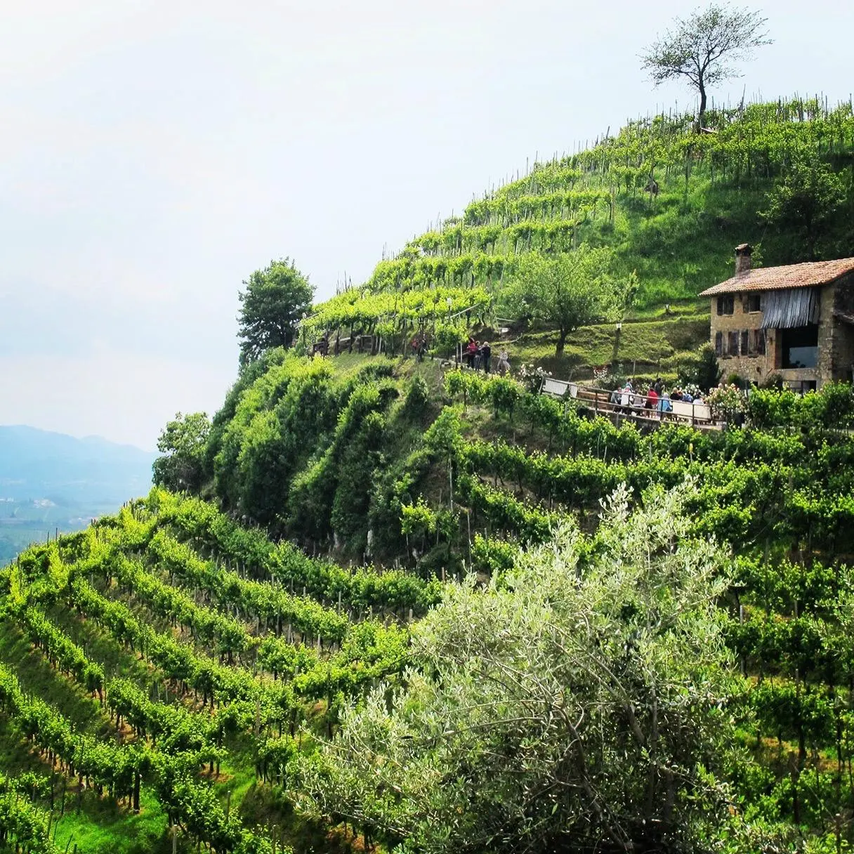 La Magia dell’Osteria Senz’Oste in Italia