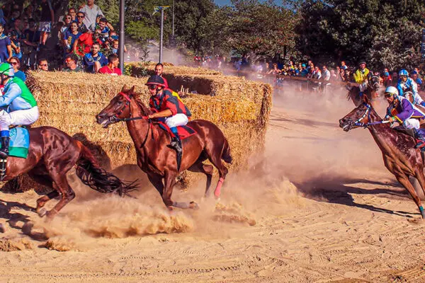 Il Palio di Fermo: Festa di Tradizione e Competizione