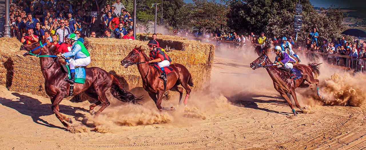 Il Palio di Fermo: Festa di Tradizione e Competizione