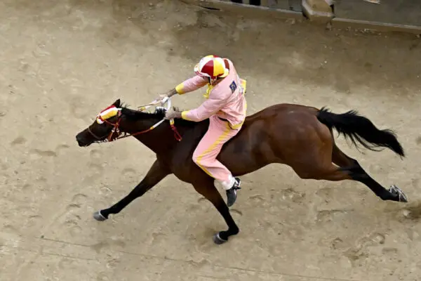 Il trionfo di Valdimontone al Palio di Siena 2023 image 1