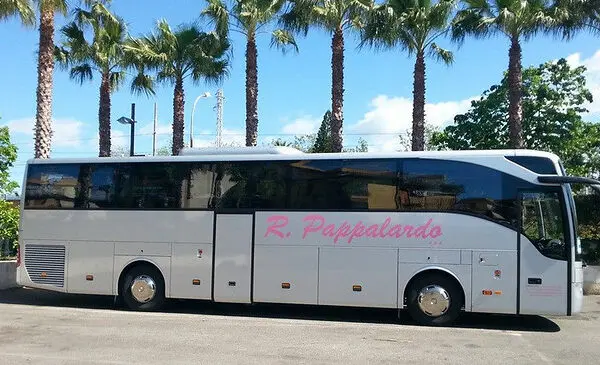 La Carriera di Pappalardo: Un Viaggio attraverso la Musica Italiana