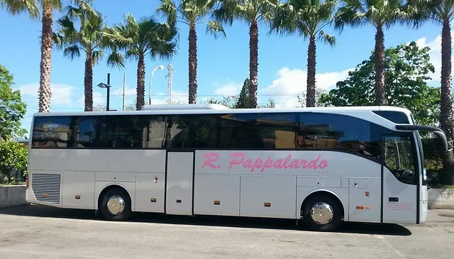 La Carriera di Pappalardo: Un Viaggio attraverso la Musica Italiana