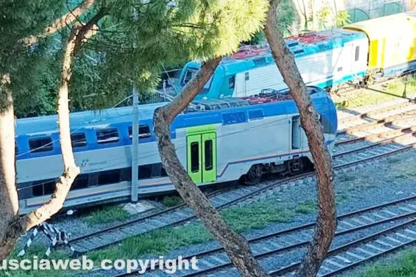 Tutto su Tusciaweb: notizie e aggiornamenti dalla Tuscia