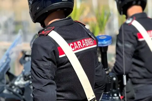 Il Ruolo Cruciale dei Carabinieri nella Sicurezza Italiana image 1