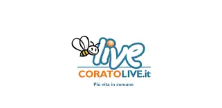 Le Olive Coratine: Un Tesoro della Tradizione Italiana