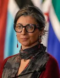 Francesca Albanese e il suo impegno per i diritti umani image 1