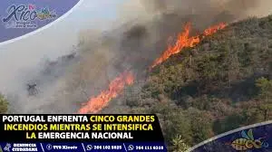 Grave incendio devasta le regioni italiane, scattano i soccorsi