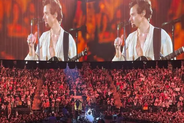 Harry Styles: Un’icona della musica e della moda