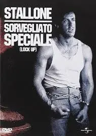 Comprendere il Concetto di Sorvegliato Speciale in Italia image 1