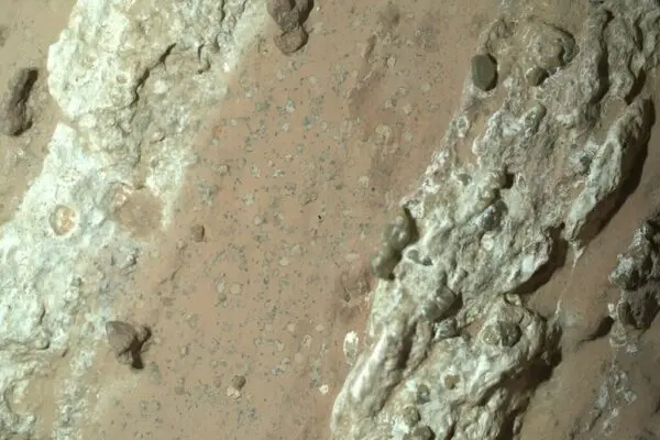 Vita su Marte: La Ricerca di Segni di Esistenza