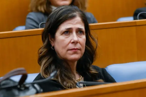 Alessandra Todde e il suo Ruolo nella Corte Costituzionale image 1