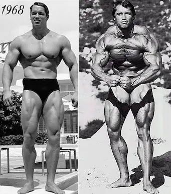 Arnold Schwarzenegger: Un Leader nella Sostenibilità Ambientale