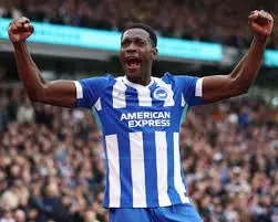 Brighton & Hove Albion e Newcastle: La Partita da Non Perdere