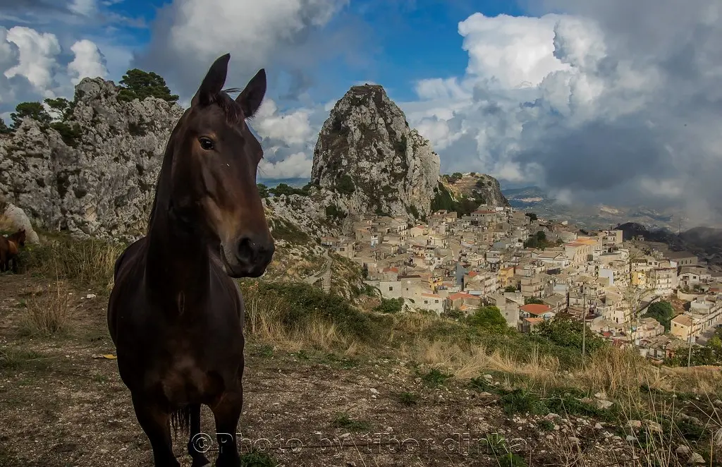Caltabellotta: Un Borgo Siciliano tra Storia e Bellezza