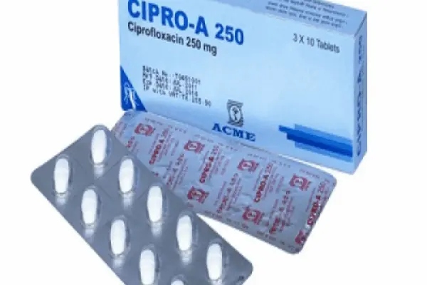 Cipro in Bosnia: Un’analisi dei recenti sviluppi
