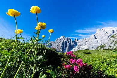 La Magia di Comelico: Un Paradiso per gli Amanti della Natura