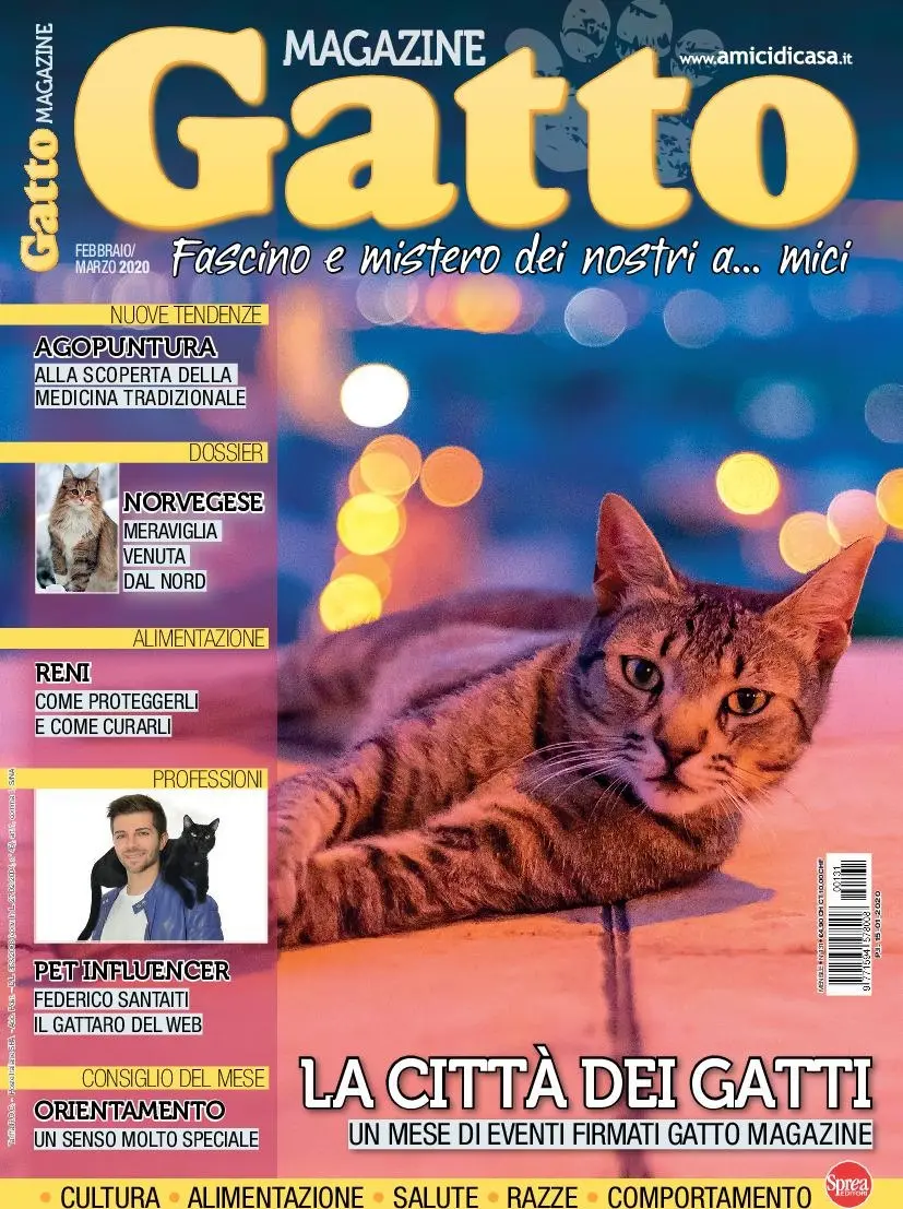 Il Gatto: Un Amico Pieno di Affetto e Fede