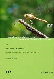 IDF e Innovazioni nella Sanità Globale image 1