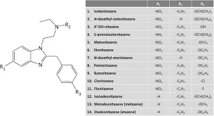 Il Nitazene e la Sua Emergenza nelle Politiche Sanitarie image 1