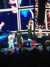 One Direction: Futuro e Possibile Ritorno della Band