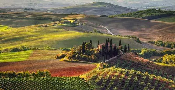 Carmignano: Storia, Cultura e Vigneti