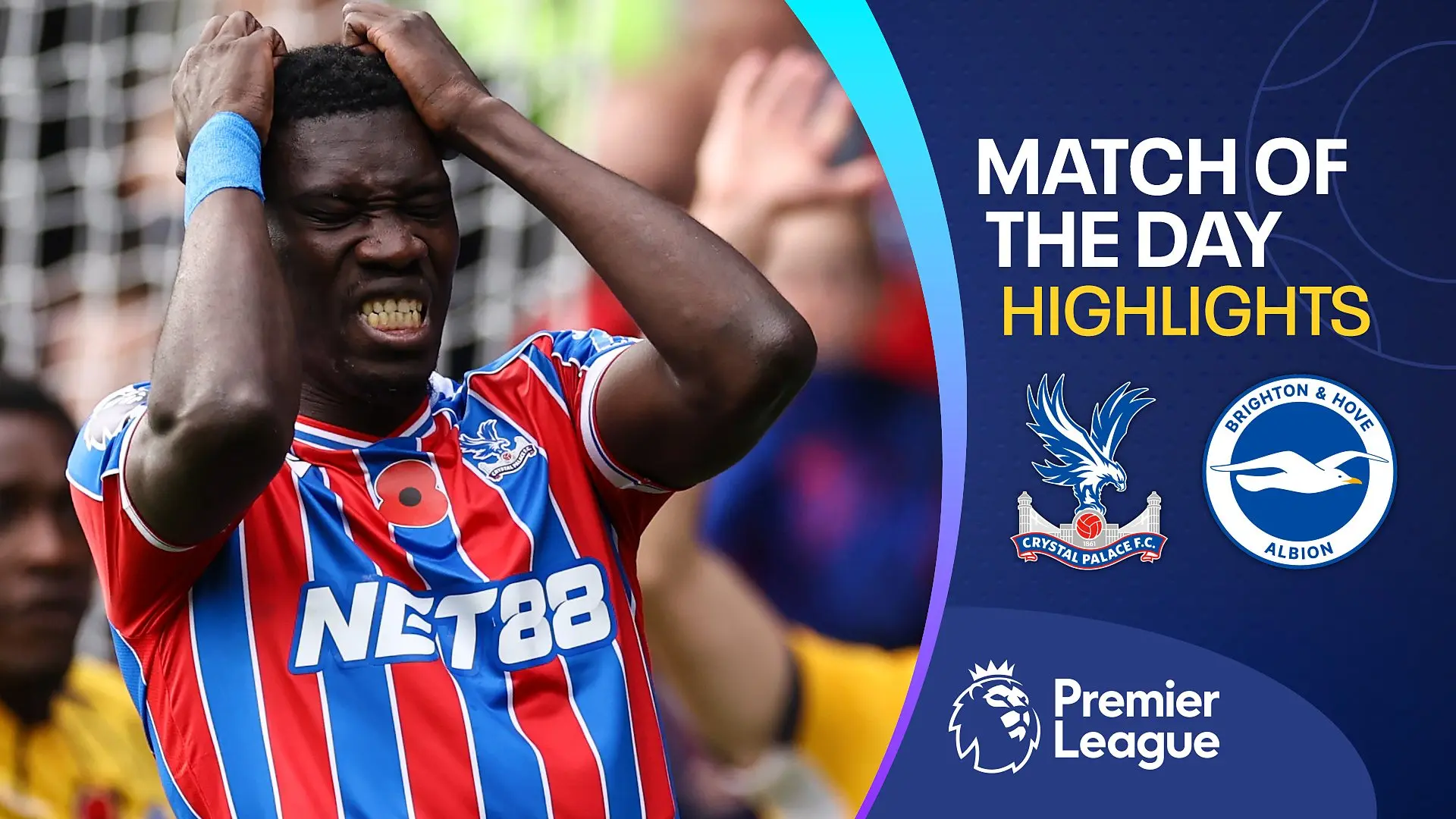 La Rivalità tra Crystal Palace e Brighton & Hove Albion
